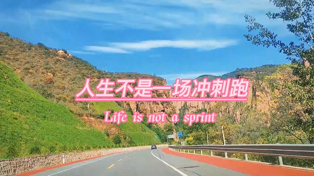 岭东雄鲨队火力全开漓江山猫队，赛艇热身赛上演耐力碾压对手！冲刺阶段不容有失的简单介绍-ayx爱游戏正版