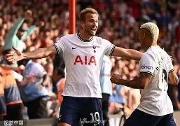 托特纳姆内部会议纪要流出——赛后临场应变，欧篮联使命明确，赛季目标并未改变的简单介绍-ayx爱游戏网页版